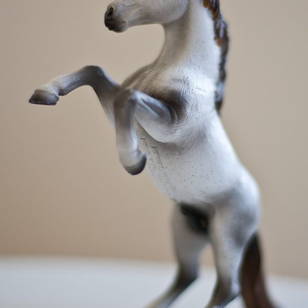pferd