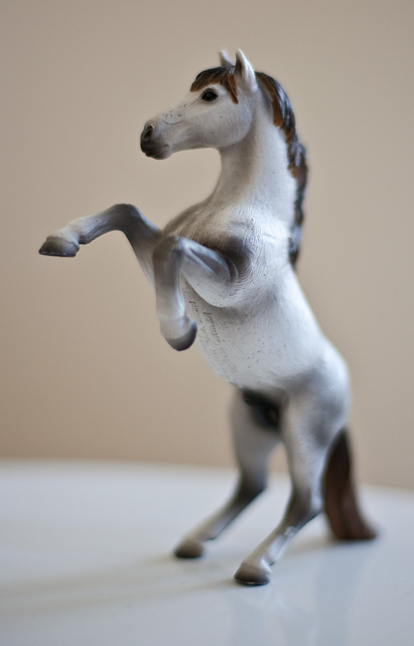 pferd